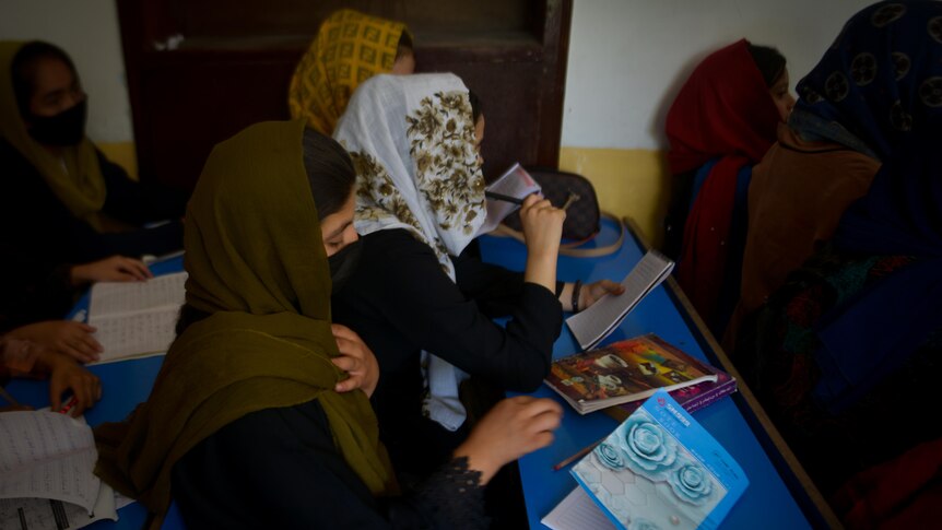A一排女孩拿着书和笔坐在课桌前 